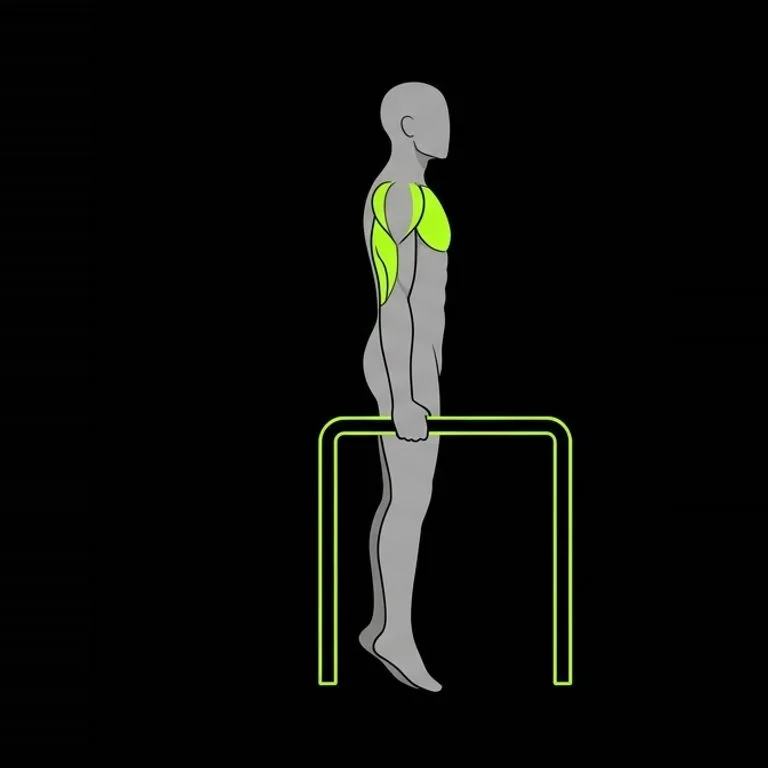 Dip, step 1 of 3: set up braced, blades retracted
