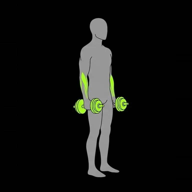 Hammer curl, step 1 of 3: set elbows and brace