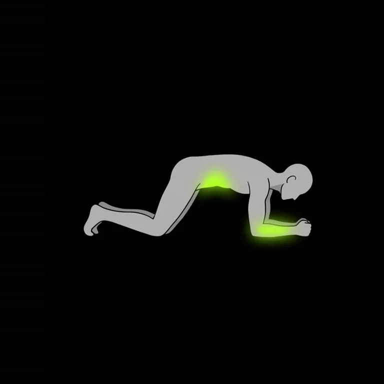 Plank, step 1 of 3: set elbows and brace
