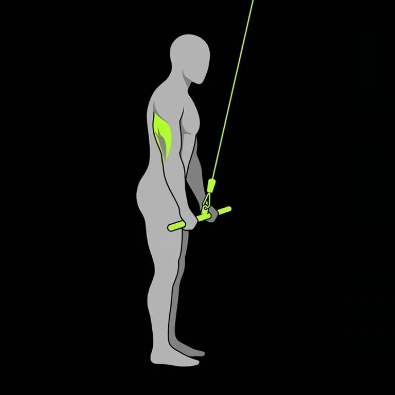 Triceps pushdown, step 3 of 3: squeeze, then lower slowly